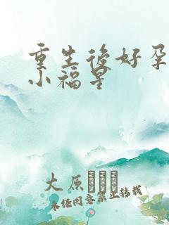重生后好孕王妃小福星