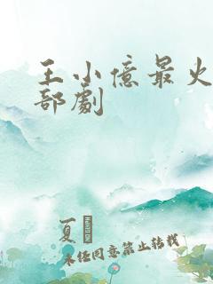 王小亿最火的十部剧