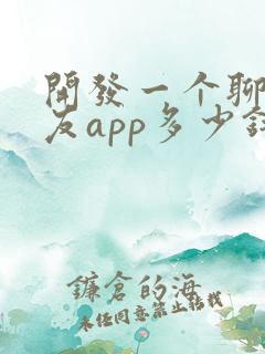 开发一个聊天交友app多少钱