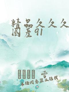 精品久久久久久国产91