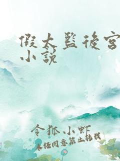 假太监后宫妃子小说