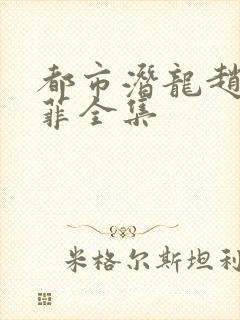 都市潜龙赵东苏菲全集