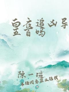 白夜追凶导演有五百吗