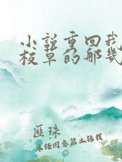 小说重回我爸当校草的那几年