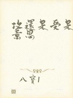 攻还是受是什么意思