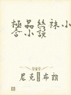 极品丝袜小说集合小说