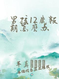 男孩12岁叛逆期怎么办