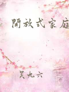 开放式家庭厨房