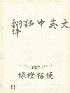 翻译中英文的软件