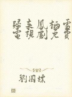归来凤栖处短剧电视剧免费观看
