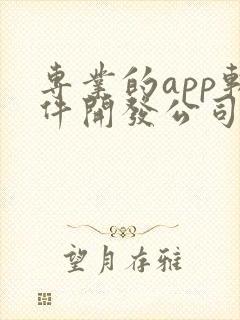 专业的app软件开发公司