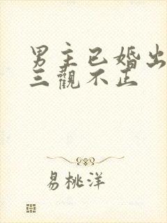 男主已婚出轨受三观不正