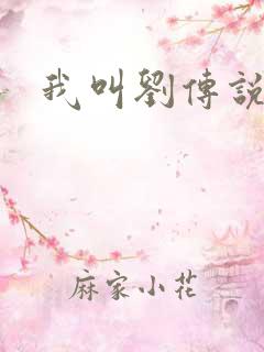 我叫刘传说剧情