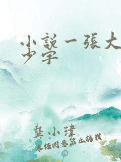 小说一张大概多少字