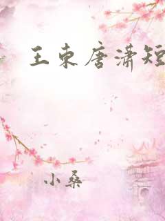 王东唐潇短剧