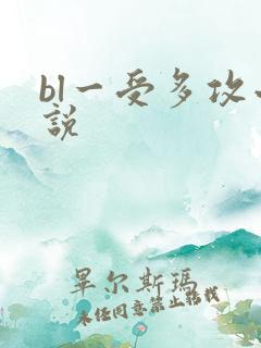 bl一受多攻小说
