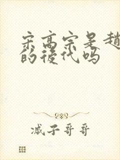 宋高宗是赵匡胤的后代吗