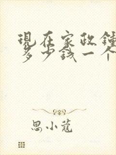 现在家政钟点工多少钱一个小时