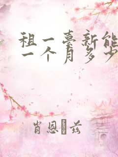 租一台新能源车一个月多少钱