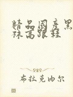 精品国产黑色丝袜高跟鞋