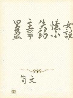 男主失忆女主沈盈宁的小说