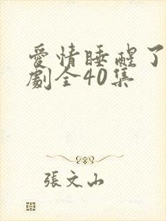 爱情睡醒了电视剧全40集