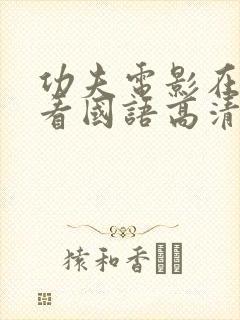 功夫电影在线观看国语高清