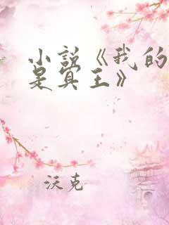 小说《我的老公是冥王》