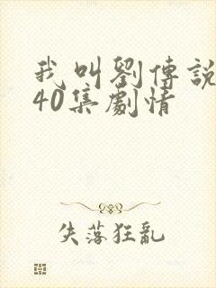 我叫刘传说1—40集剧情