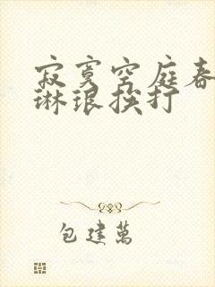 寂寞空庭春欲晚琳琅挨打