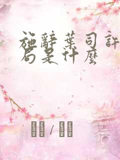 施辞叶司许大结局是什么