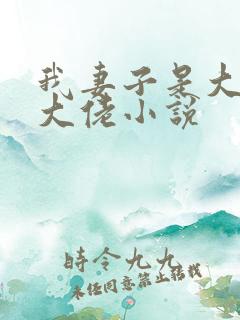 我妻子是大乘期大佬小说