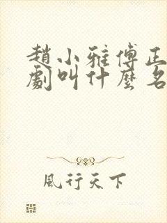 赵小雅傅正庭短剧叫什么名字