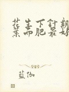 花生下针期喷啥叶面肥最好?