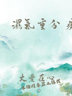 湿气重分 痰湿
