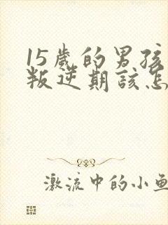 15岁的男孩子叛逆期该怎么沟通