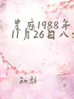 农历1988年11月26日八字算命