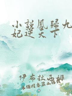 小说凤归九霄狂妃逆天下