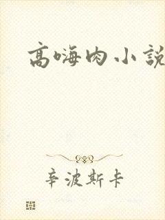 高嗨肉小说