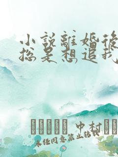 小说离婚后前夫总是想追我免费读