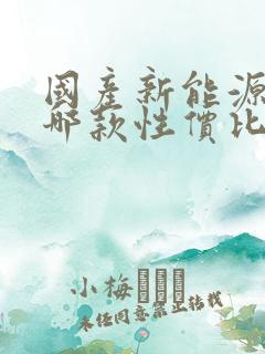国产新能源汽车哪款性价比高
