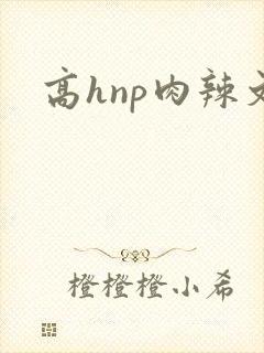 高hnp肉辣文