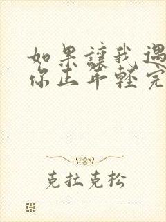 如果让我遇见你你正年轻完整歌词