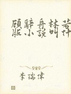 顾辞舟林若夏正版小说叫什么名字