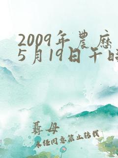 2009年农历5月19日午时八字