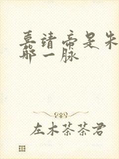 嘉靖帝是朱棣的哪一脉
