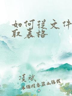 如何从文件中提取表格