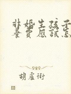 非婚生孩子的抚养费应该怎么起诉