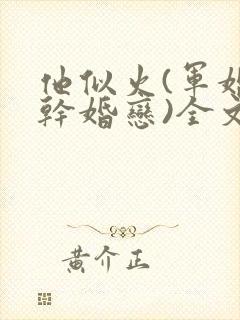 他似火(军婚高干婚恋)全文