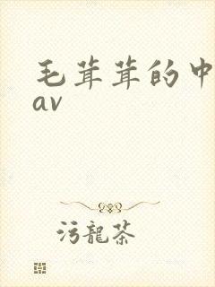 毛茸茸的中国的av